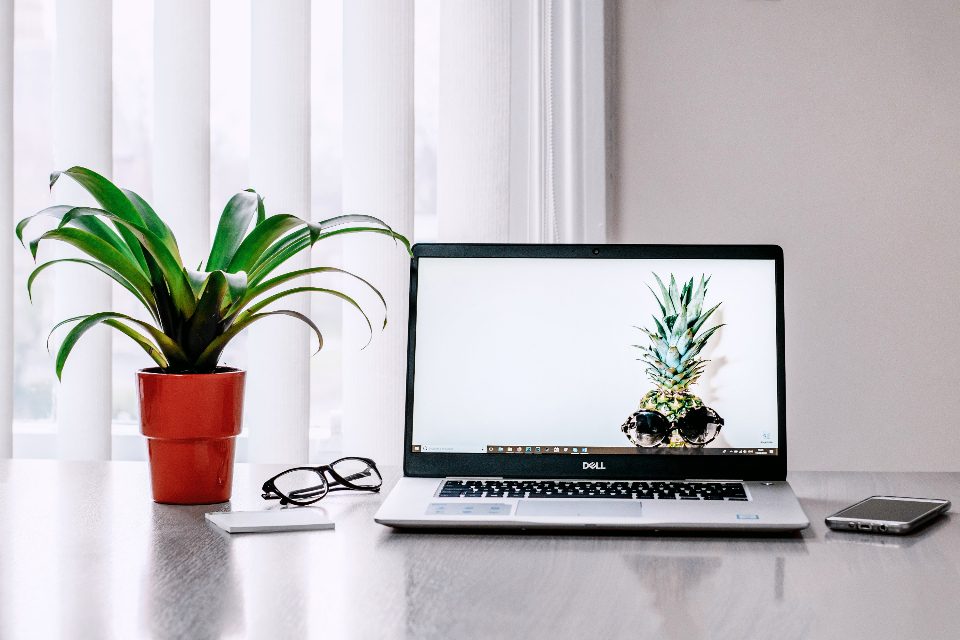 Responsible business practices, green plant on office desk